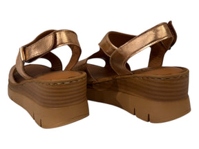 WD-202001 - J-bloomshoes