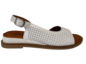 WD-301015 - J-bloomshoes