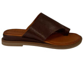 WD-301016 - J-bloomshoes