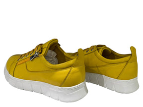 WE-301001 Patricia Low-Top Sneakers: Elevate Your Everyday Style - J-bloomshoes