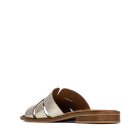WD-301005 - J-bloomshoes