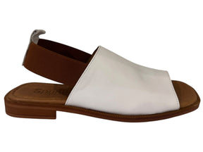 WD-301017 - J-bloomshoes